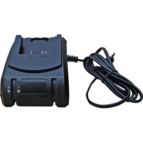 CHARGEUR 230 V POUR POMPE 10030773